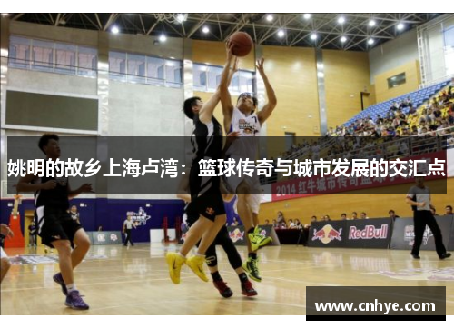 姚明的故乡上海卢湾：篮球传奇与城市发展的交汇点