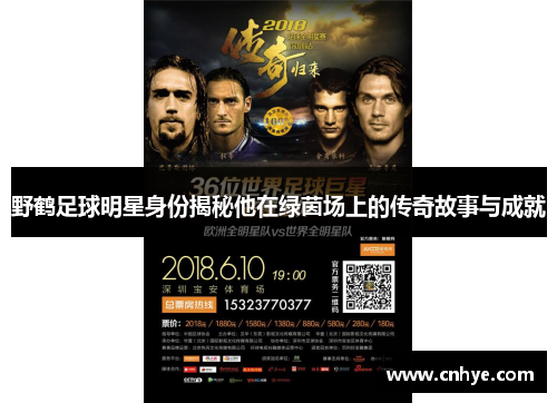 野鹤足球明星身份揭秘他在绿茵场上的传奇故事与成就